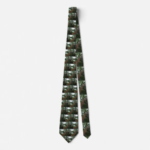 Cravate Giraffe_Adventure_Mens_Silk_Cravate.