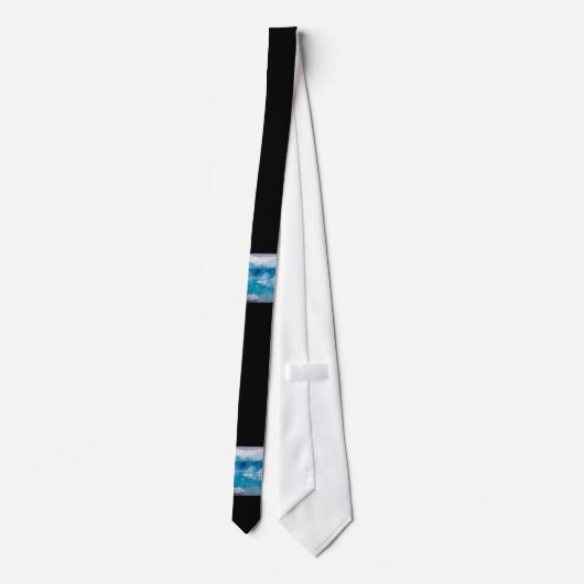 Cravate Glace en Antarctique (Dos)