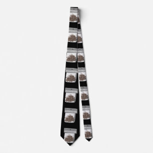 Cravate Glitch Rois de condiments