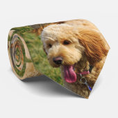 Cravate Goldendoodle Puppy (Roulé)