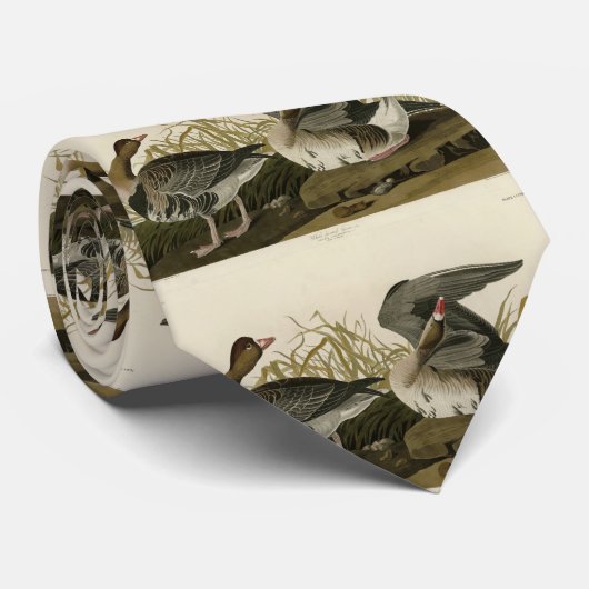 Cravate Goose à face blanche (Roulé)