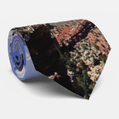 Cravate Grand Canyon, Arizona (Roulé)