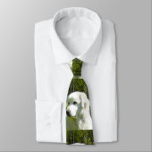 Cravate grande pyrénées (Attaché)