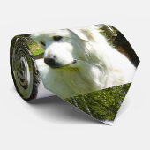 Cravate grande pyrénées (Roulé)