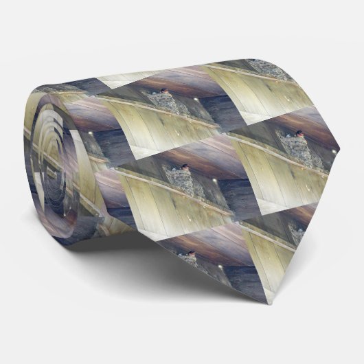 Cravate Grange Swallow Series (Roulé)