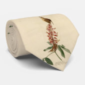 Cravate Great Carolina Wren - Audubon's Birds of America (Roulé)