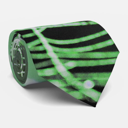 Cravate Green Black Déplaisant Éffrayant Spider Web (Roulé)