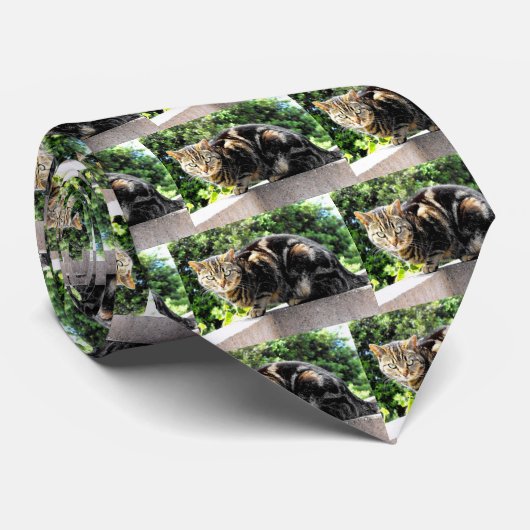 Cravate Gremlin le chat tigré (Roulé)