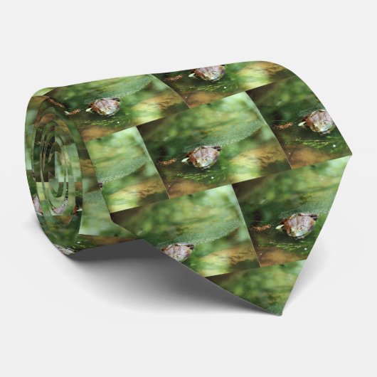 Cravate Grenouille (Roulé)