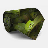 Cravate Grenouille verte (Roulé)