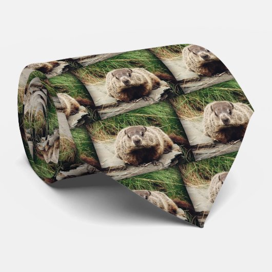Cravate Groundhog (Roulé)
