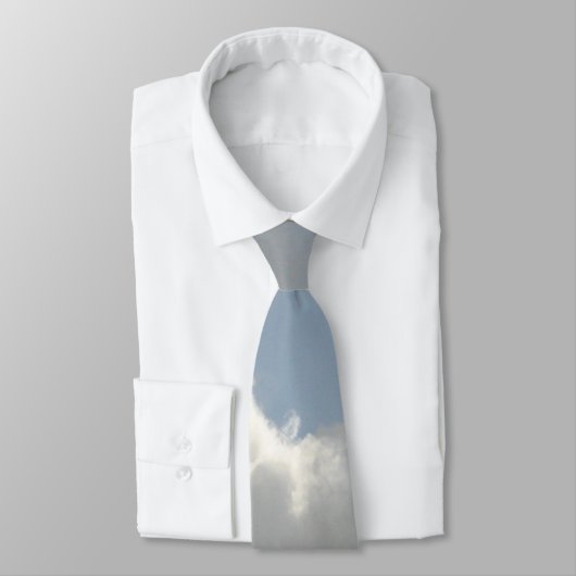 CRAVATE GRUES DE SANDHILL (Attaché)