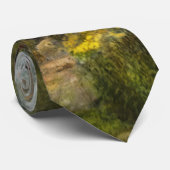 Cravate Guerre civile - camp de Gettysburg de capitaine (Roulé)