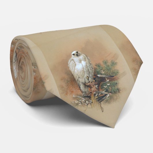 Cravate Gyrfalcon - 1861 (Roulé)