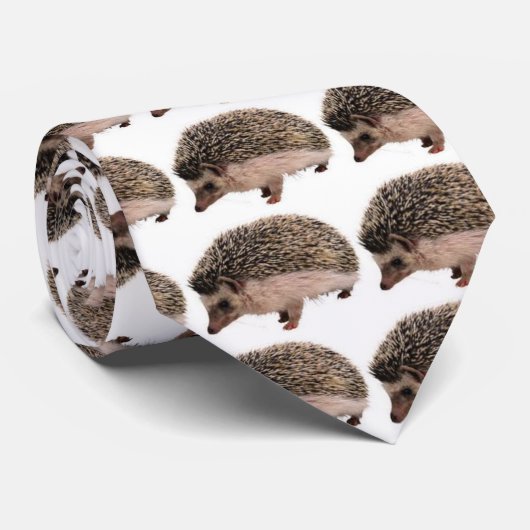 Cravate Habillement de hérisson (Roulé)