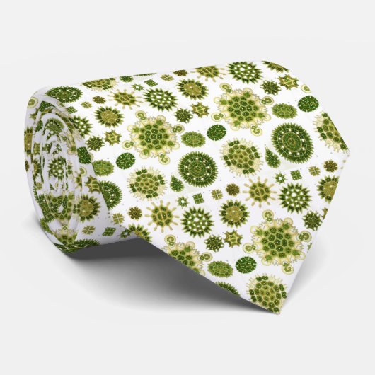 Cravate Haeckel (Roulé)