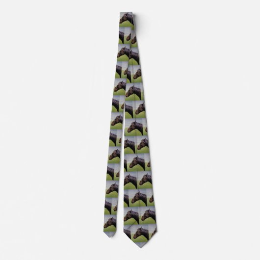 Cravate Handsome Quarter Horse Bailey Neck Tie (Dos)