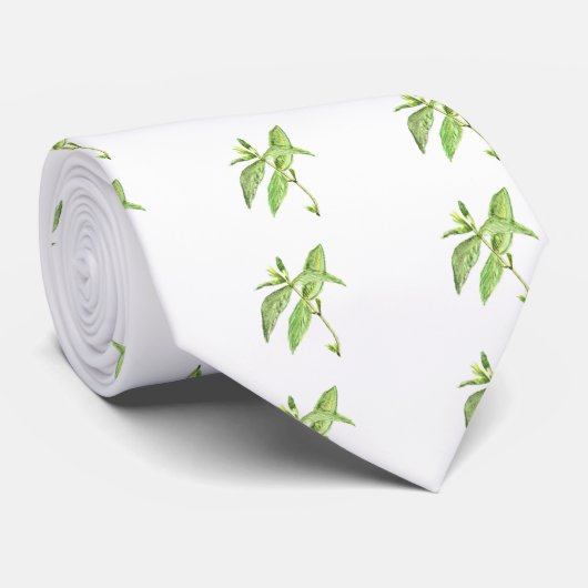 Cravate Herbe de menthe (Roulé)