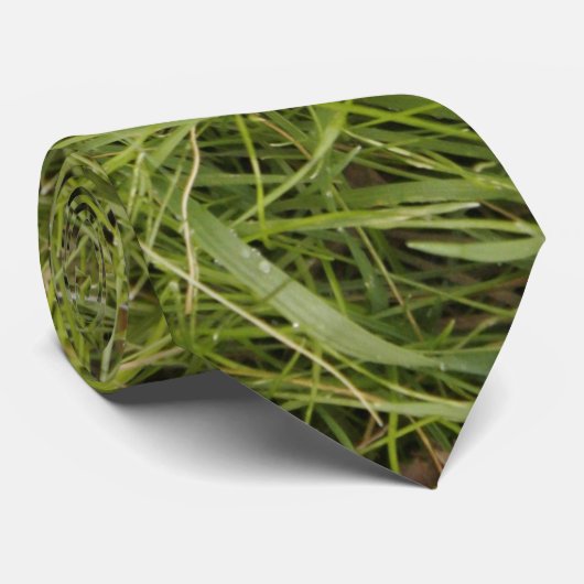 Cravate Herbe verte (Roulé)