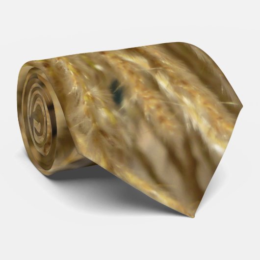 Cravate Herbes décoratives en automne (Roulé)