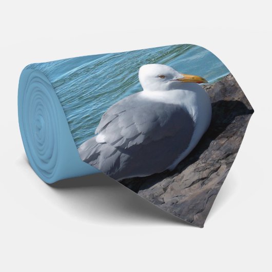 Cravate Herring Gull (Roulé)