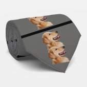Cravate heureuse de golden retriever (Roulé)