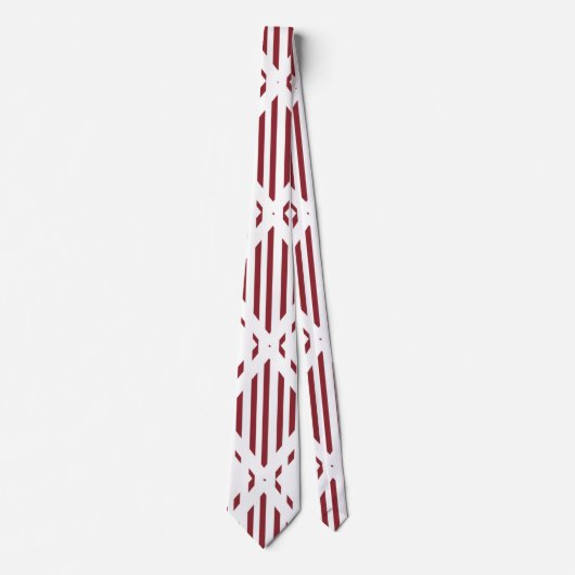 Cravate Hexagone de Lined (Devant)