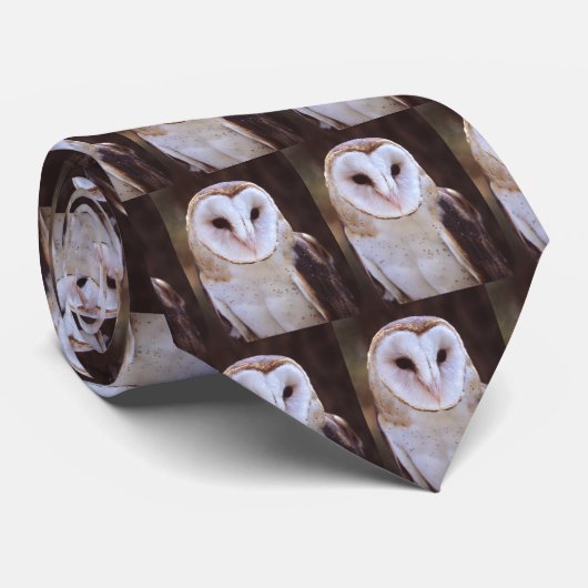 Cravate hibou (Roulé)