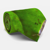 Cravate Holly Feuilles II Vacances Nature Botanique (Roulé)