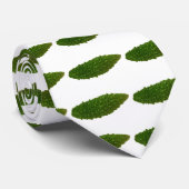 Cravate horizontale de Goya (Roulé)