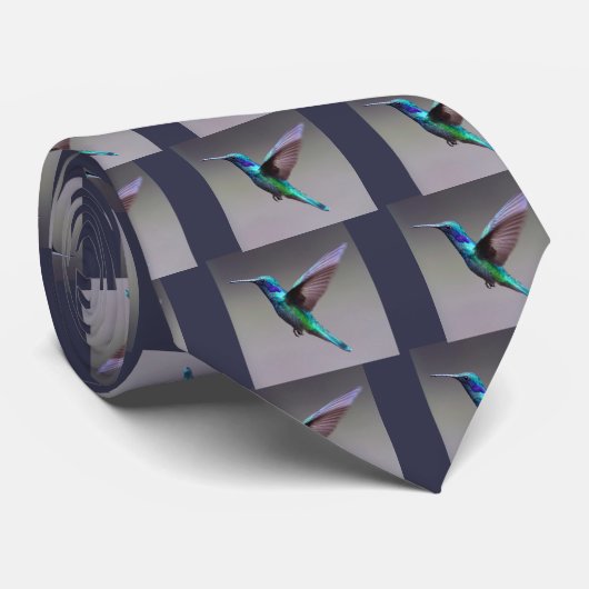 Cravate Hummingbird (Roulé)
