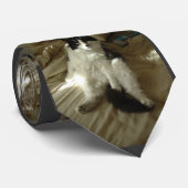 Cravate Humour Kitty Tease/Cat (Roulé)