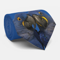 Hyacinth Macaw