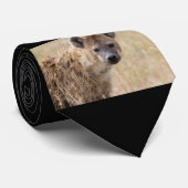 Cravate Hyena (Roulé)