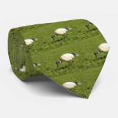 CRAVATE IBIS (Roulé)