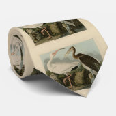 Cravate Ibis blanc - Les oiseaux d'Amérique de John James  (Roulé)