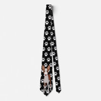 Ibizan Hound Podenco Chig Paws