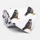 Cravate Illustration d'oiseau de faucon pèlerin  (Roulé)