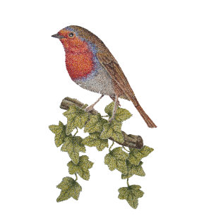 Cravate Illustration feuille du robin et du lierre de Noël