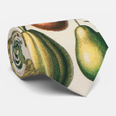 Cravate Illustration scientifique végétale des fruits (Roulé)