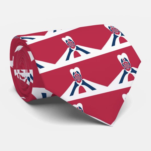 Cravate Impression Abstraite E.T. (Roulé)