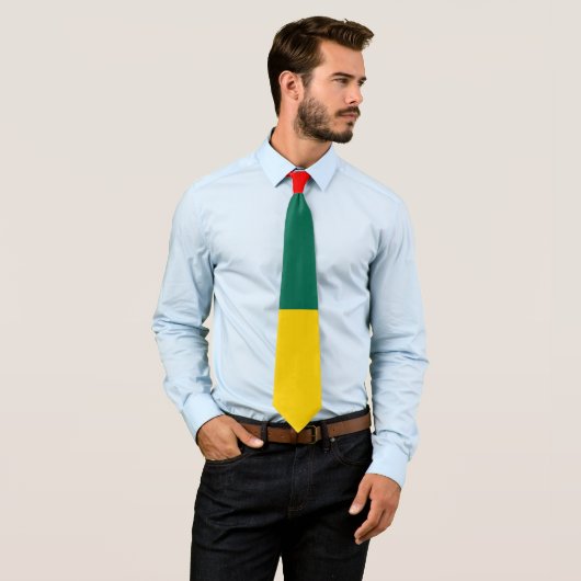 Cravate Impression bloc couleur vert jaune et rouge (En situation)