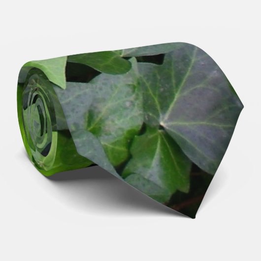 Cravate Impression botanique verte Ivy (Roulé)