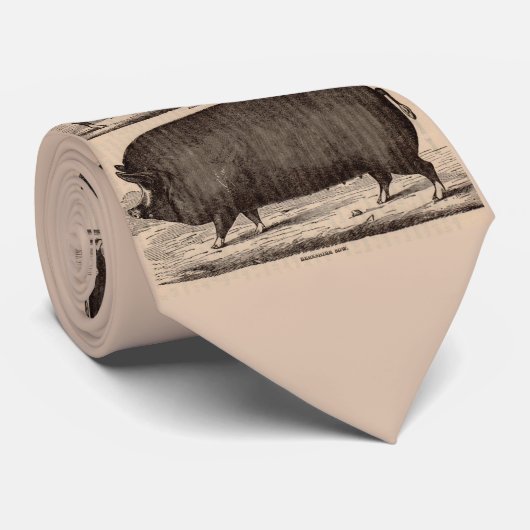 Cravate Impression de porc du 19e siècle Berkshire semé no (Roulé)