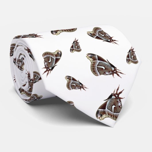 Cravate Insecte de papillon de mite (Roulé)