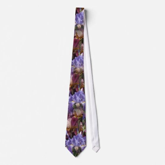 Cravate Iris marron bleu (Devant)