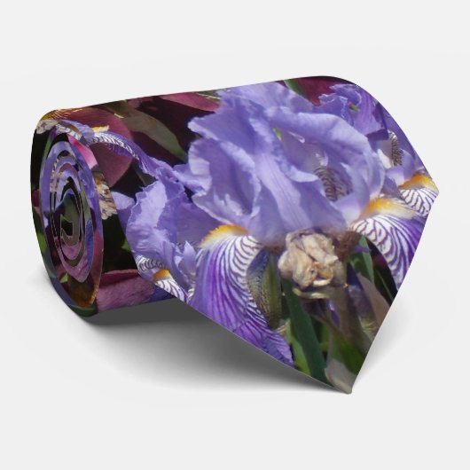 Cravate Iris marron bleu (Roulé)