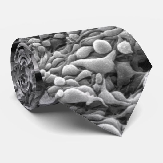 Cravate Iris melanoma (vie en désordre) (Roulé)