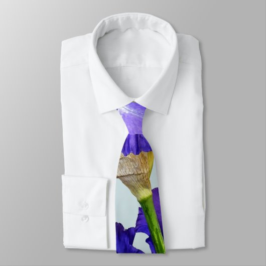 Cravate Iris triple violet (Attaché)