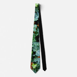 Cravate Ivy and field stone neck tie